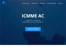 Tablet Screenshot of icmmeac.org